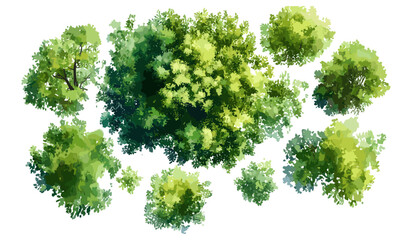 Abstract watercolor tree vector illustration, top view for landscape plan and architecture layout drawing, isolated on white background, garden elements, grass, flower blooming, blossom. © aura studio
