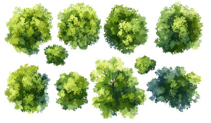 Abstract watercolor tree top view vector, isolated on white background for landscape plan, architecture layout, garden elements, environment, flower blooming, blossom grass, drawing. © aura studio