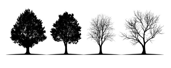 Fototapeta premium Tree silhouette vector illustration on white background, abstract tree design, minimalist tree vector, nature art, botanical silhouette, digital tree artwork, nature symbol
