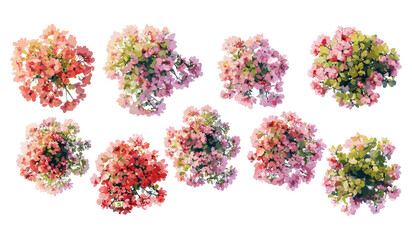 Vector illustration of blooming tree top view watercolor isolated on white background for landscape plan, architecture drawing, garden and environment elements, botanical elements