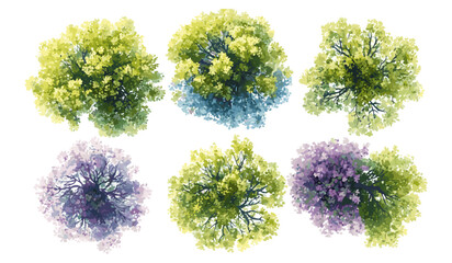 Watercolor vector of blooming tree top view isolated on white background for landscape plan, architecture drawing, garden elements, botanical elements for environment in spring