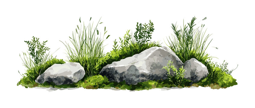 Vector illustration of grass with rock in watercolor style for landscape and architecture drawing, elements for garden and environment, botanical painting for section, meadows, moss