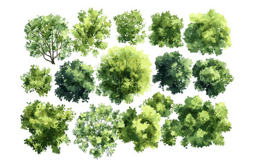 Watercolor vector tree top view isolated on white background, landscape plan elements, garden and environment layout drawing, green grass for architecture, nature design. © aura studio