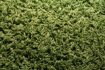 green grass texture