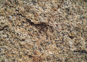 Natural light brown rock background. Stone texture. Grunge granite surface.
