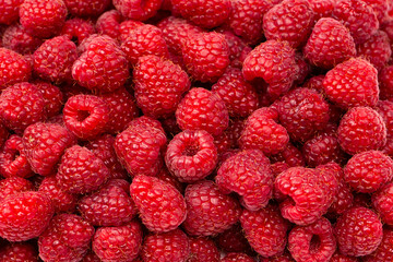 Tasty fresh raspberry as a background.