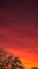 Red crimson and orange evening sky over the city. Fiery sunset.