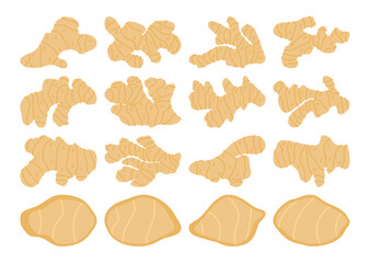 Vector set of ginger illustrations featuring various root shapes and slices. Perfect for health, food, or organic-themed designs, suitable for packaging, branding, and educational visuals.
