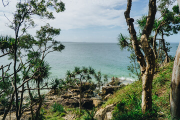 Obraz premium Kids playing on the rocks at Noosa national Park, Noosa, QLD, Australia.