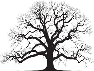 Fototapeta premium silhouette of a tree