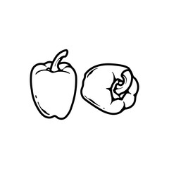 bell pepper outline vector illustration