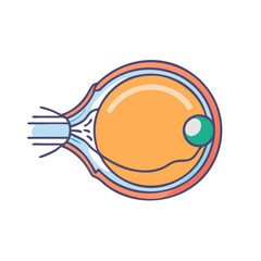 Human Eye Anatomy and Inner Structure | Detailed Medical Eye Illustration