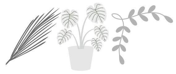 Abstract natural tree leaves shadow on white wall background. abstract white showcase room with trees, plants, window shadows. Natural dappled light overlay effect