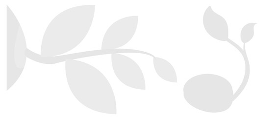 Abstract natural tree leaves shadow on white wall background. abstract white showcase room with trees, plants, window shadows. Natural dappled light overlay effect