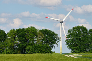 Fototapeta premium Wind turbine stands at end of rustic concrete path, framed by lush green trees under bright blue sky, symbolizing meeting of nature and innovation