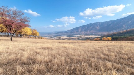 Fototapeta premium Golden Autumn Meadow with Vibrant Trees and Clear Blue Sky