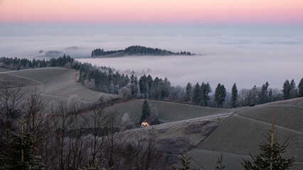 Staufenberg Castle in the Black Forest