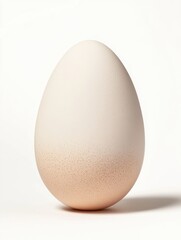 White egg resting on a plain surface illuminated by soft light, creating a minimalist aesthetic in a simple setting