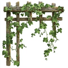 Vintage Wooden Trellis with Lush Green Ivy Climbing Vines in a Rustic Garden Setting