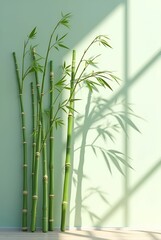 Graceful Bamboo Shadows: Sunlit Wall with Swaying Bamboo in a Fresh Natural Style
