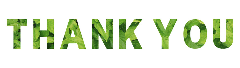Words "Thank You" written in green leaves background. Thank you message for banner, poster, presentation or business