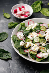 Spinach cottage cheese salad with radish, cucumber and red onion, Healthy food