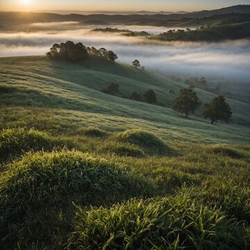 Fog rolling over rolling hills covered in morning dew.