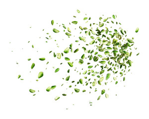 A scattering of green pistachio nuts, suggesting growth or nature.