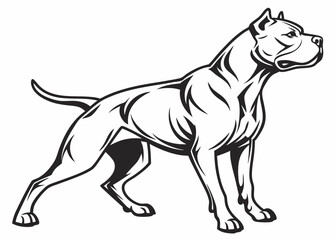 Obraz premium pitbull black outline, vector illustration, white background