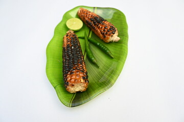 Grilled Sweet corn cob on whitebackground. This is a complete food for humans. It contains many vitamins. It's like all over world. Heathy eating. 