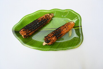 Grilled Sweet corn cob on whitebackground. This is a complete food for humans. It contains many vitamins. It's like all over world. Heathy eating. 