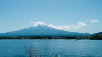 富士山と河口湖と美しい植物