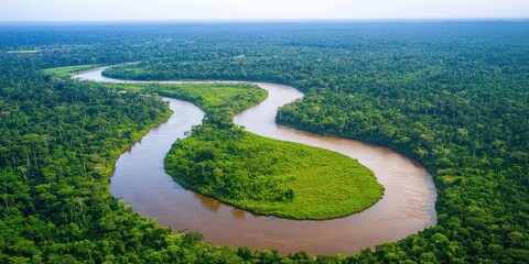 Rainforest Brazil Soothing and Calming Visuals
