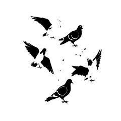 Fototapeta premium Pigeons In City Vector Logo Design