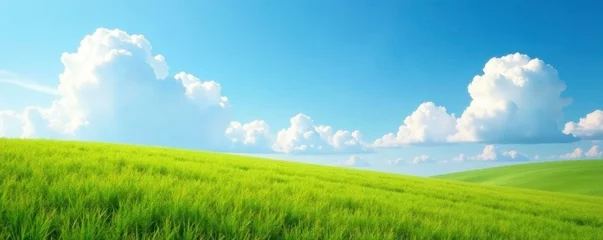Gordijnen Gentle breeze rustling through the landscape as clouds drift lazily in the clear blue sky, gentle, breeze © anu