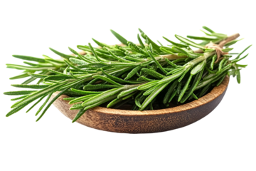 rosemary on white background