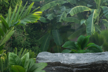 Stone table top podium floor outdoors in tropical forest nature background.natural product present...