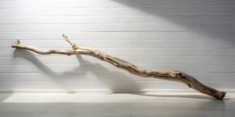 Obraz premium A bleached driftwood branch rests elegantly against a textured white wall, casting a long shadow across a light-colored floor, creating a minimalist and serene scene.