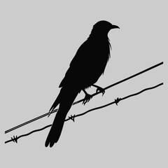 a bird sitting on a wire silhouette vector design art and illustration