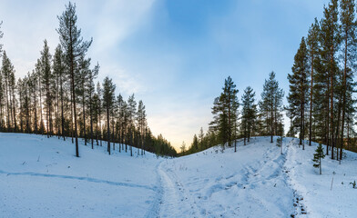 Beautiful winter landscape in Finnish Lapland around Akaslompolo, Finland