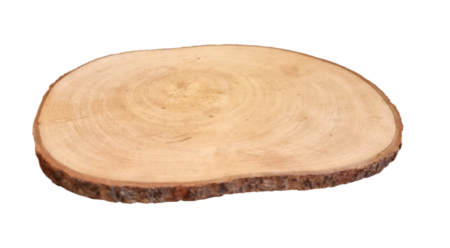 real wood stump platform podium isolated on background with clipping path. minimal empty stage for display product, presentation scene. natural wood slice, rustic wooden platter.