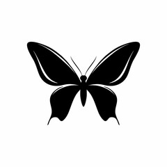 Fototapeta premium Black Butterfly Silhouette