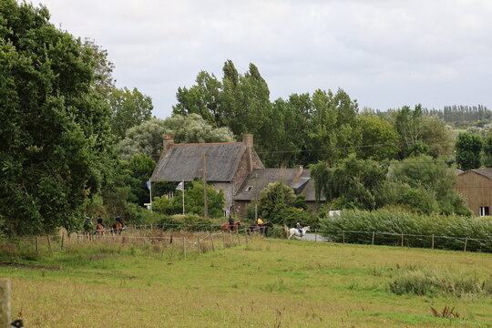 House at the edge of a forest with horse riders