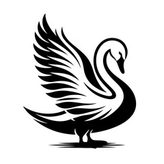 Obraz premium silhouette of a swan