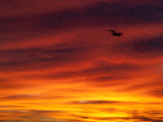Dusk, Sunset Sky Clouds in the Evening with colorful Orange, Yellow, Pink and red sunlight and Dramatic storm clouds on Twilight sky, Landscape horizon