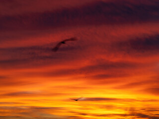 Dusk, Sunset Sky Clouds in the Evening with colorful Orange, Yellow, Pink and red sunlight and Dramatic storm clouds on Twilight sky, Landscape horizon