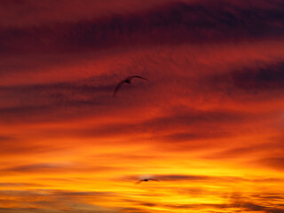 Dusk, Sunset Sky Clouds in the Evening with colorful Orange, Yellow, Pink and red sunlight and Dramatic storm clouds on Twilight sky, Landscape horizon