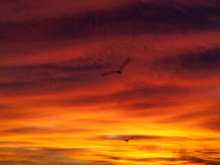 Dusk, Sunset Sky Clouds in the Evening with colorful Orange, Yellow, Pink and red sunlight and Dramatic storm clouds on Twilight sky, Landscape horizon