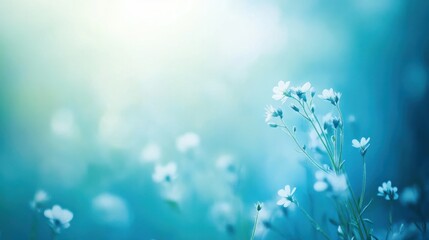 A smooth, airy blue gradient backdrop that blends from light to deeper shades, evoking a sense of serenity and openness