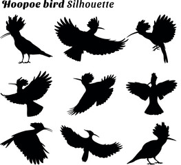 Hoopoe bird silhouette vector illustration set © Ascreator